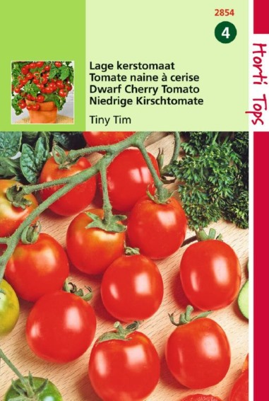 Tomaat Tiny Tim (Solanum) 125 zaden HT